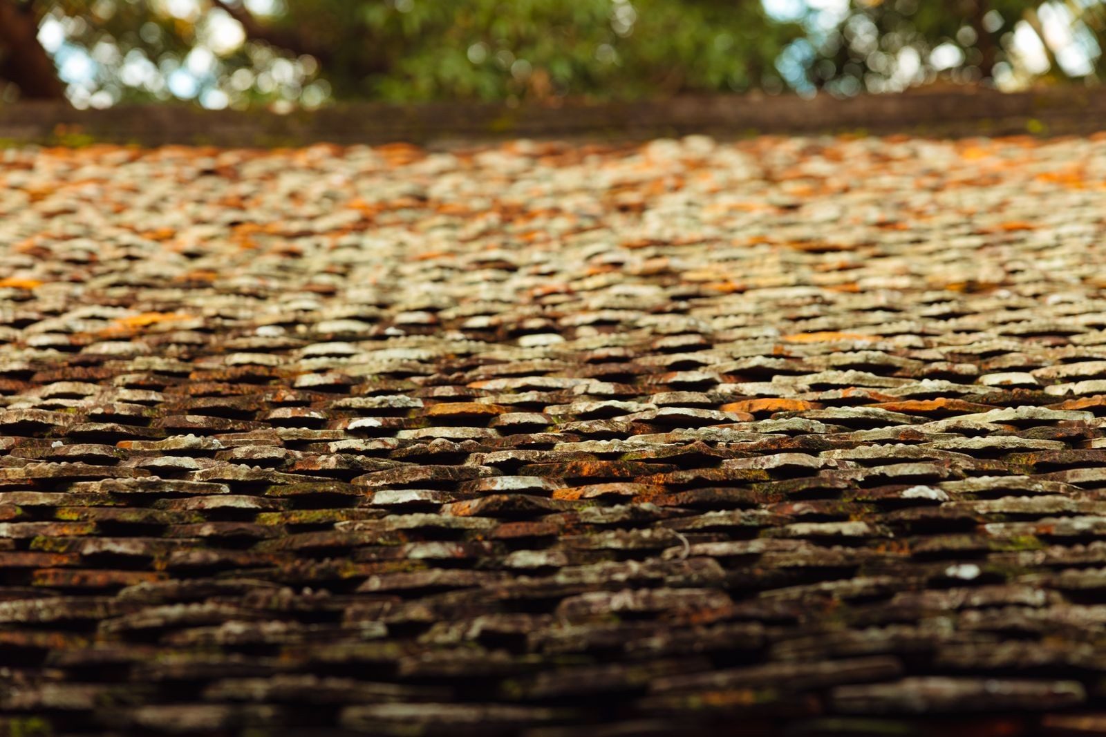 Weathered roof tiles with lichen growth needing attention